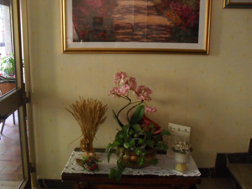 Albergo Ristorante Olimpia Abbadia San Salvator Bagian luar foto