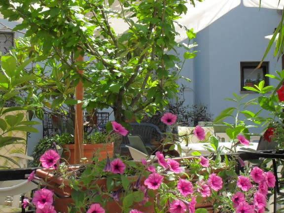 Albergo Ristorante Olimpia Abbadia San Salvator Bagian luar foto